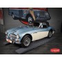 Austin Healey bg8 mk3