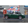 Austin Healey 3000