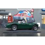 Austin Healey 3000