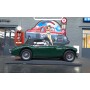 Austin Healey 3000