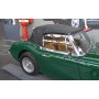 Austin Healey 3000