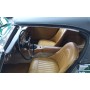 Austin Healey 3000