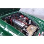 Austin Healey 3000