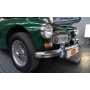 Austin Healey 3000