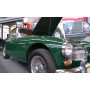 Austin Healey 3000