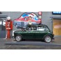 Mini British open