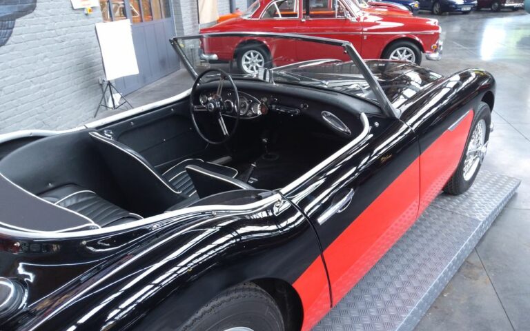 Austin Healey