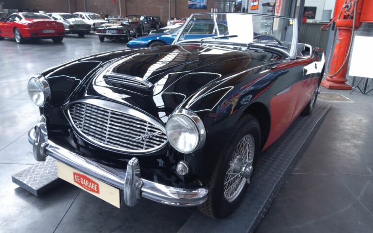 Austin Healey